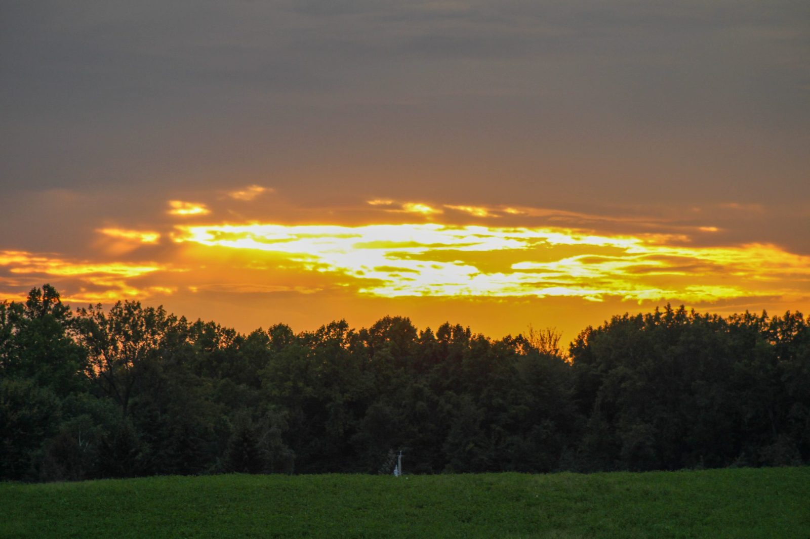 Sunset over apple orchards near Lake Ontario, Sodus Point, NY